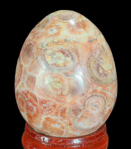 Polished Leopard Jasper Egg - Mexico #66058